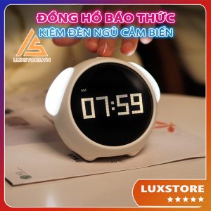 528e2d447dd69e40993fd0058ca0b16d